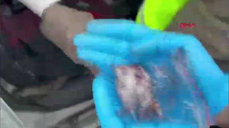 Şeytanın aklına gelmez! Uyuşturucu bakın nereden çıktı. Jandarma bile şaştı kaldı - Resim: 7